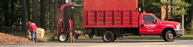 NH Fall Cleanup Services NH Fall Cleanup Services