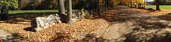 NH Fall Cleanup Services