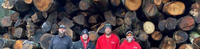 firewood cordwood amherst nh firewood cordwood amherst nh