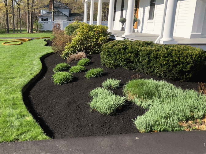 Black Mulch Beds