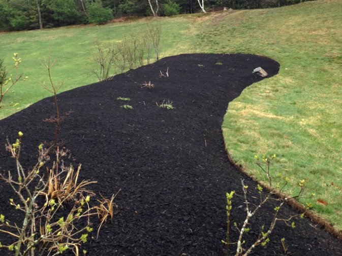 Mulch Bed